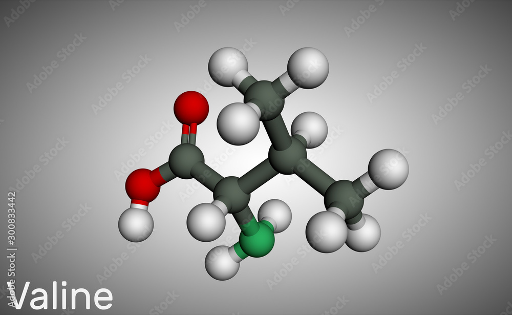 Poster Valine, Val molecule, is α-amino acid . It is used in the biosynthesis of proteins.  Molecule model.