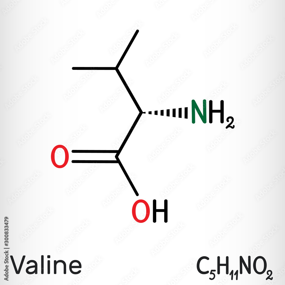 Poster Valine, Val molecule, is α-amino acid . It is used in the biosynthesis of proteins.  Structural chemical formula.