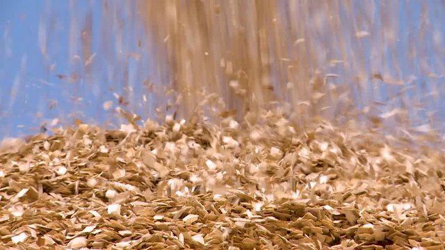 Background. Chips, sawdust falling in slow motion.