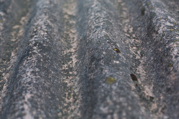 texture old slate with moss
