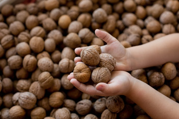 walnuts in hands close up against a pile of nuts