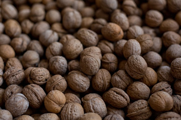 background a lot of walnuts closeup