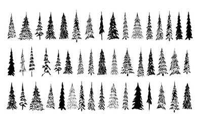 set of trees isolated on white background
