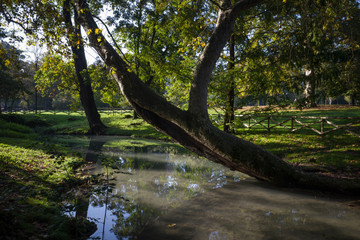 Parco Sempione Milan (Milano)