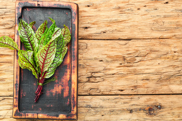 Sorrel bloody mary