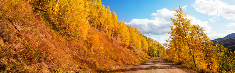 Autumn road