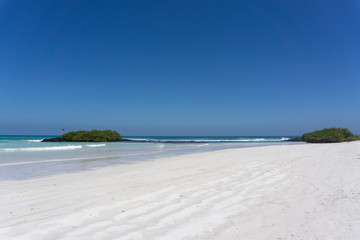 Beach, white sand and sea on the Galapagos Islands