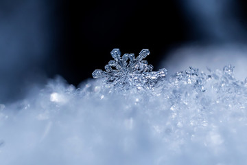 Snowflakes close-up. Macro photo. The concept of winter, cold, beauty of nature. Copy space.
