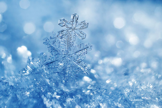 Real Snowflakes Wallpaper