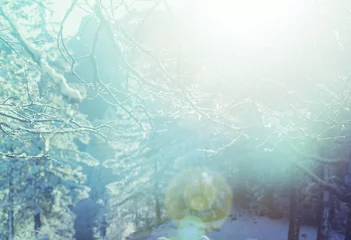Gordijnen Winter season © Galyna Andrushko