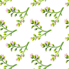 sets, frames bouquets of fruits and berries. Isolated on white background. Watercolor illustration