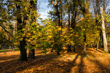 Park Konstytucji 3 Maja w Białymstoku, Jesień w parku, Białystok, Podlasie