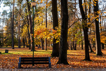 Park Konstytucji 3 Maja w Białymstoku, Jesień w parku, Białystok, Podlasie