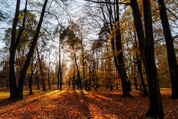 Park Konstytucji 3 Maja w Białymstoku, Jesień w parku, Białystok, Podlasie
