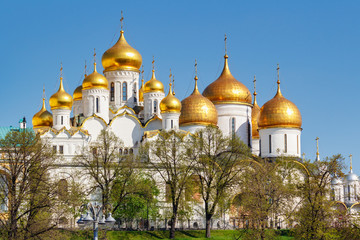 Fototapeta na wymiar View of orthodox churches with white walls of Moscow Kremlin against green trees in sunny spring morning