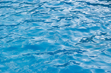 Obraz premium Blue sea or water in the pool close-up, trendy natural background