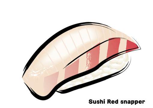 筆タッチ 手描きの寿司 鮨のイラスト 鯛 タイの握り寿司のイラスト Illustration Of Traditional Japanese Food Nigiri Sushi Stock Vector Adobe Stock