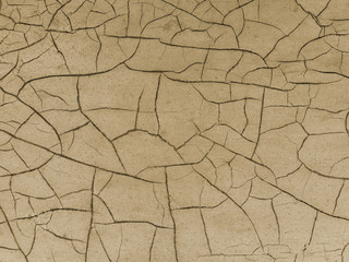Cracked paint on wooden background, texture. Vintage wallpaper