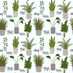 Home potted plants and quotes seamless pattern. Houseplants in pots graphic design. Flat vector illustration in cozy Scandinavian hygge style.