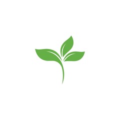 Green leaf logo