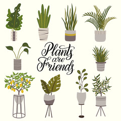 Fototapeta na wymiar Set of house potted plants and calligraphy quote Plants are Friends hand drawn clip art. Houseplants in pots graphic design. Flat vector illustration in cozy Scandinavian hygge style.