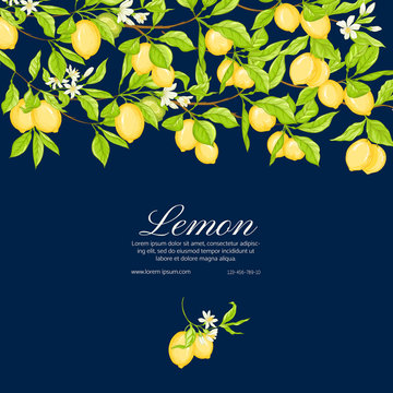 Lemon tree branch with lemons, flowers and leaves. Template for wedding invitation, greeting card, banner, gift voucher, label. Colored vector illustration..