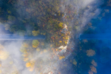 Fototapeta na wymiar Aerial view of misty and moody autumn forest