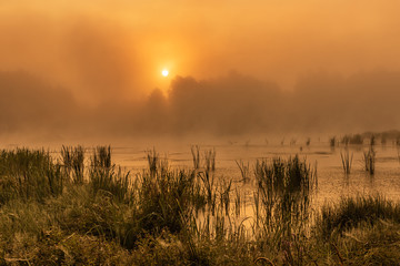 Pilica © R.Jaszczynski