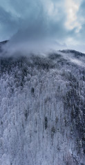 Aerial view of snowy mountain 