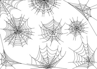 spider web S