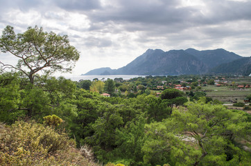 Fototapeta premium Mountain vegetation on the Mediterranean coast