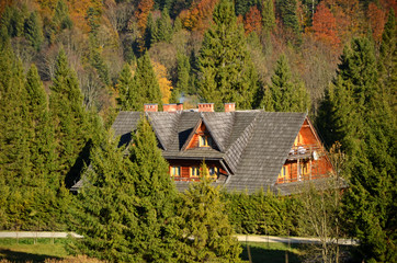 Wooden house in a forest in the mountains