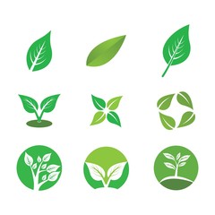 Green leaf logo