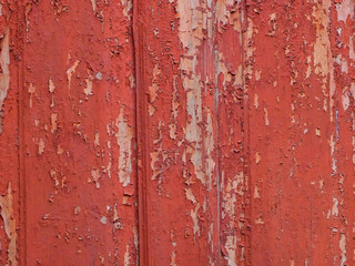 Wooden fence with shelled paint