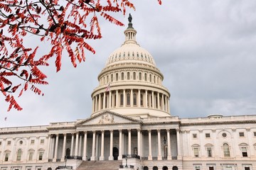 Obraz premium National Capitol. Autumn leaves.