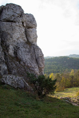Vertical mountain landscape of limestone cliffs against a blue sky. The Zborow Massif in Central Poland on the Krakow-Czestochowa Upland