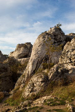 Vertical mountain landscape of limestone cliffs against a blue sky. The Zborow Massif in Central Poland on the Krakow-Czestochowa Upland