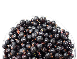 Black currant on a plate. Background. Photo.