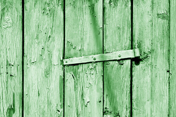 Grungy wooden planks background in green tone.