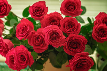 Bouquet of red roses, symbol of love, romantic celebrations. Valentine's Day, wedding, engagement. Bright background for all occasions