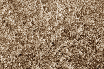 Frost on car glass texture in brown tone.