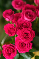Bouquet of red roses for beloved, symbol of love, romantic celebrations. Valentine's Day, wedding, engagement. Bright background