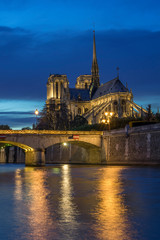 Fototapeta na wymiar Best view of Notre dame de Paris at dusk