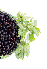 Black currant on a plate ms green leaves. Background. Photo.
