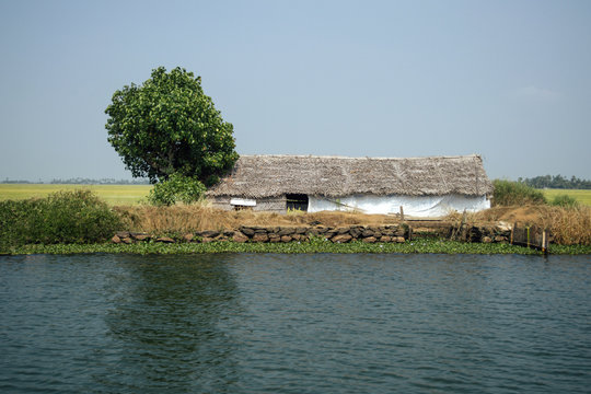 Rural indian landscape with poor house and tree in backwaters of Alleppey, Kerala, India