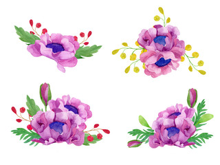 set of poppy flowers