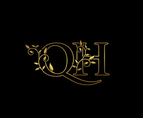 Gold letter Q and H, QH vintage decorative ornament emblem badge, overlapping monogram logo, elegant luxury gold color on black background.