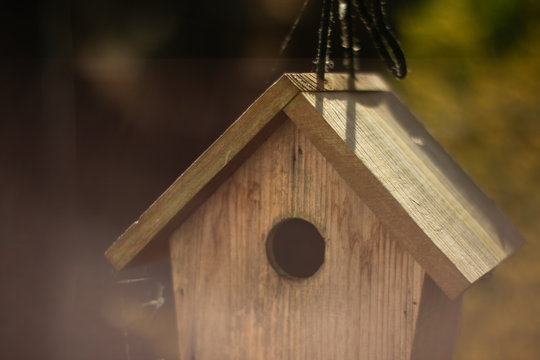 Bird House