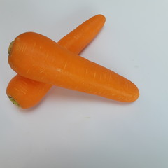 carrot on white background
