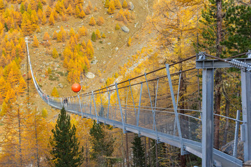 The Charles Kuonen suspension bridge in Mettertal, Valais, Switzerland in colorful autumn.  It is the longest hanging bridge for pedestrian use in the world.